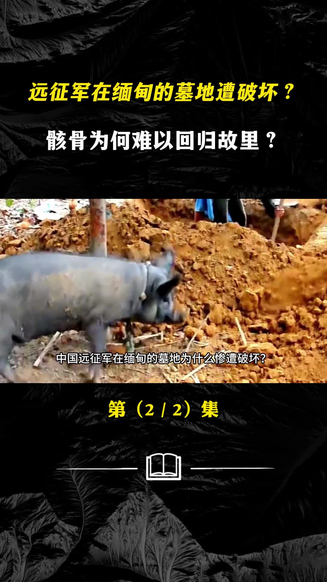 中国远征军在缅甸的墓地为何被破坏骸骨为何难以回归故里