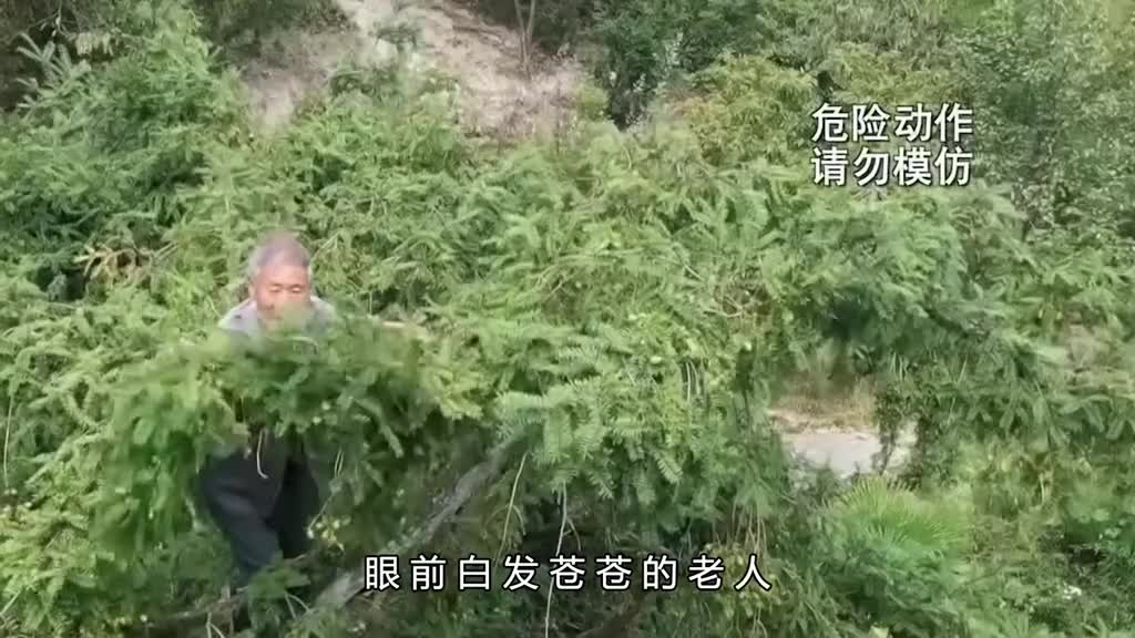 原产于我国的坚果被秦始皇亲自命名它的味道到底如何