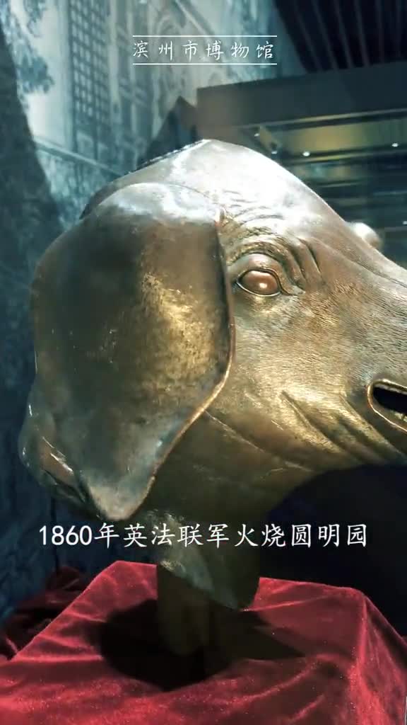 从流失海外到不断回归百年兽首见证我们国家的日益强盛