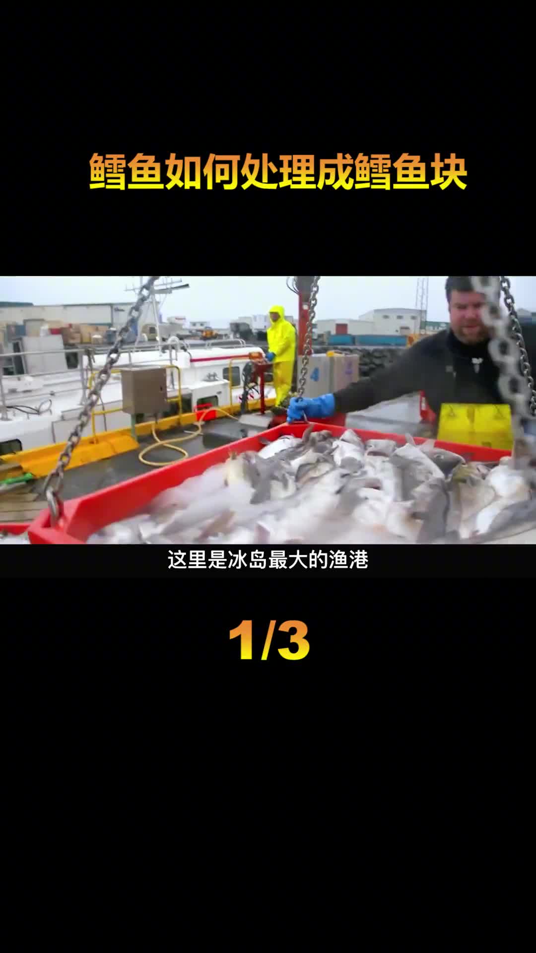 冷冻的鱼块也有国际标准