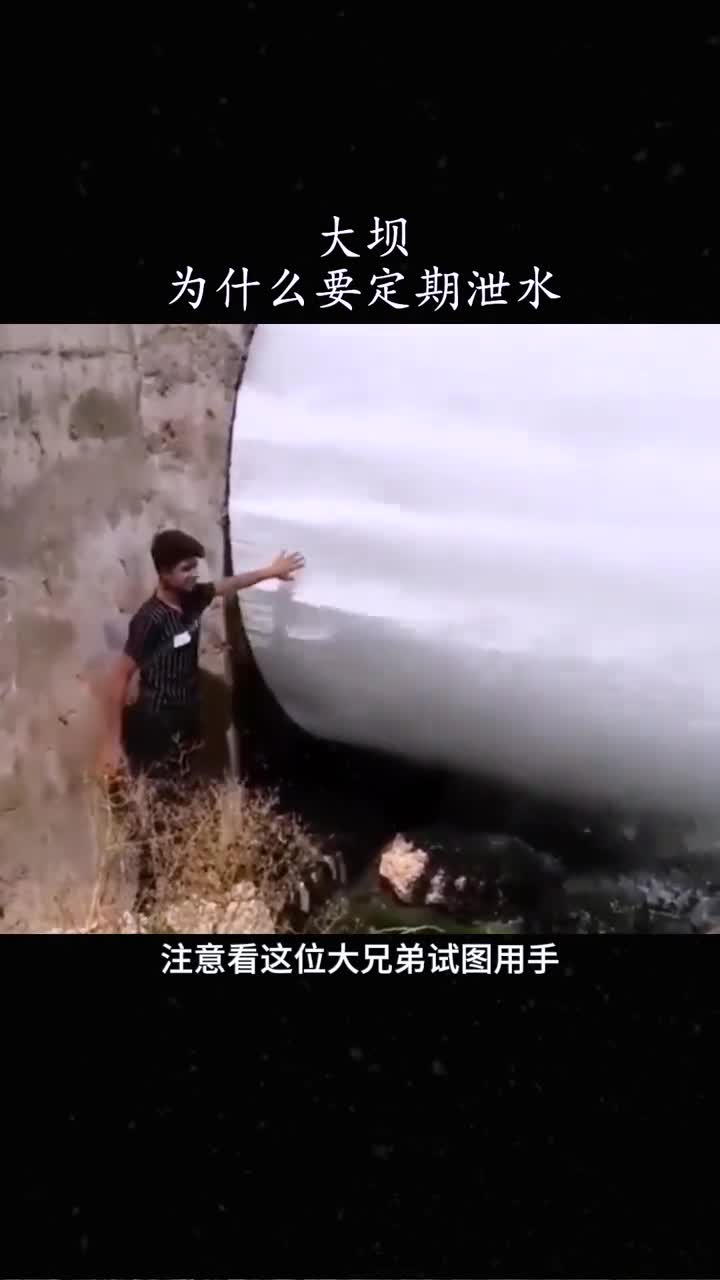 大坝为什么要定期泄水解释