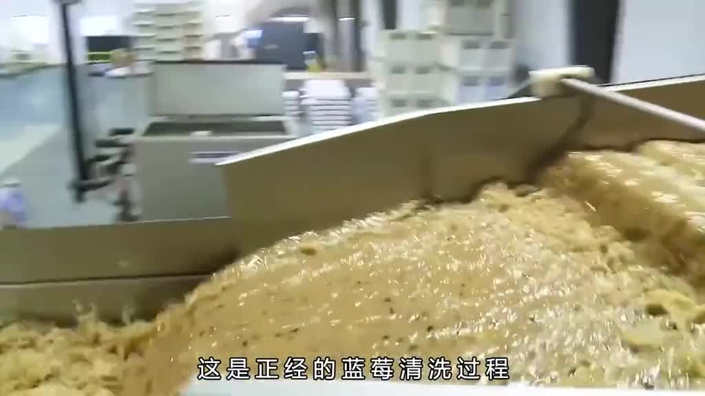 蓝莓叶黄素是如何制作的