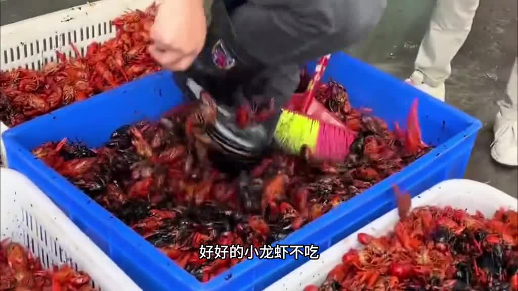 为了实现小龙虾自由天海藏也太拼了一盒足足有半斤一口下去肥美多汁爽爆味蕾