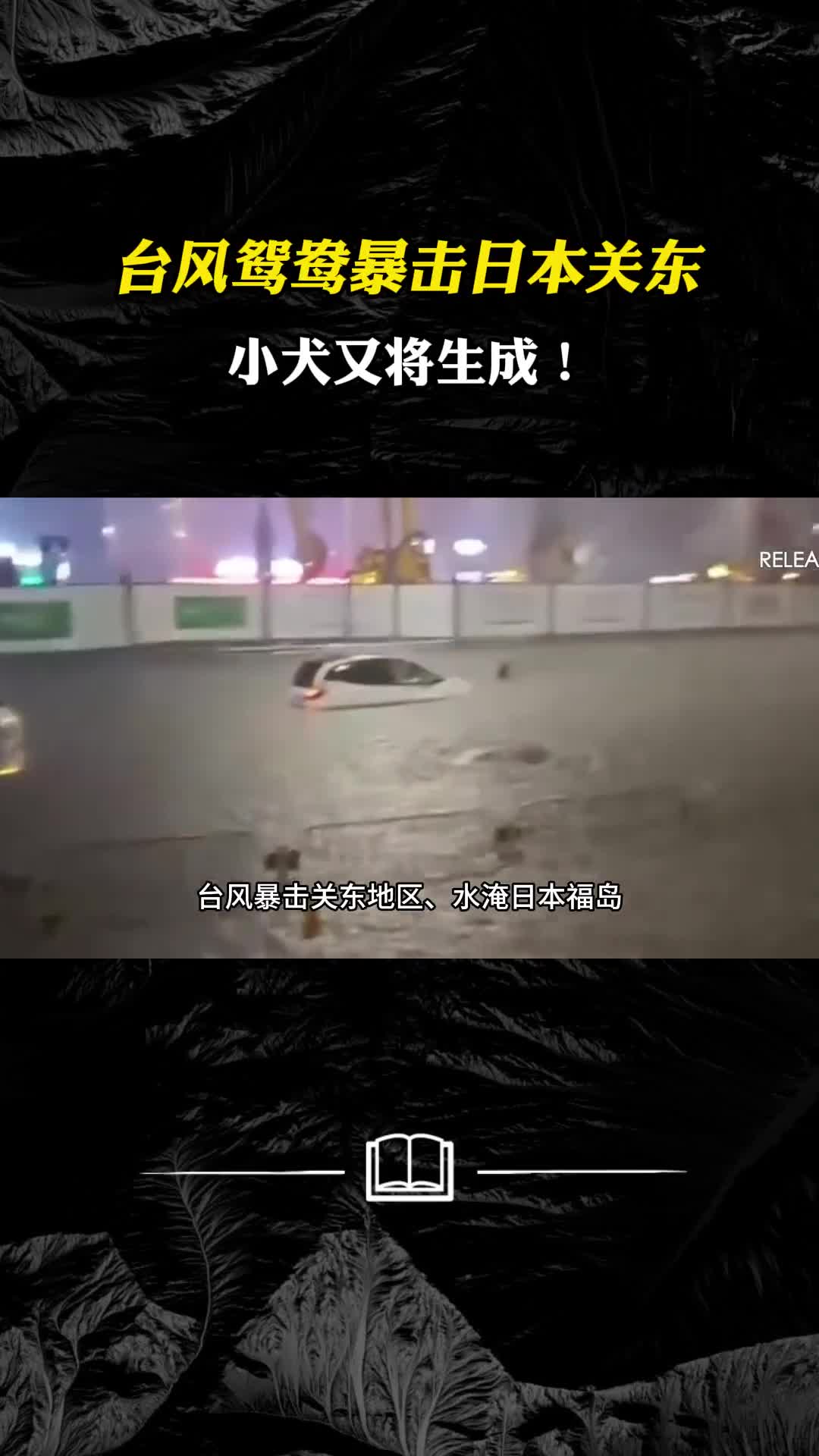 台风鸳鸯暴击日本关东小犬又将生成福岛能坑扛得住吗