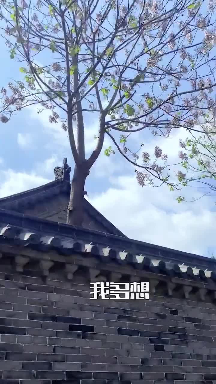 你想把前半生的风景讲给谁听