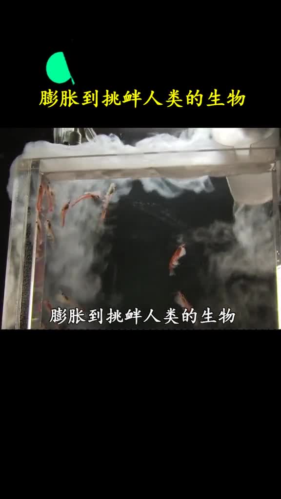 他们治不了的泛滥生物我们可以吗