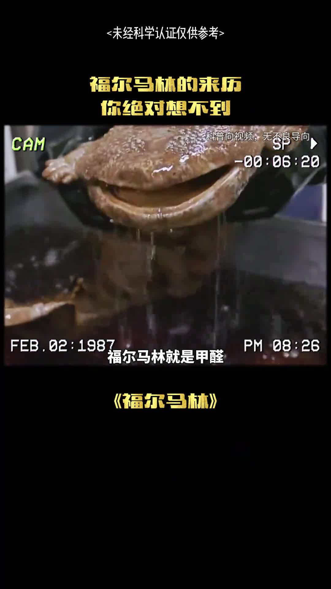 福尔马林有多么恐怖