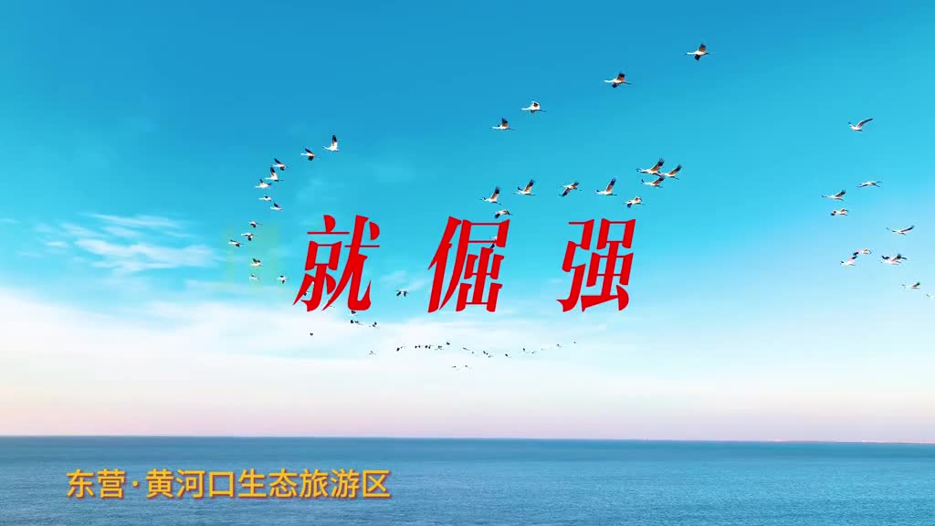 向着逆风的方向去奔赴诗和远方用热烈的少年打开大美山东