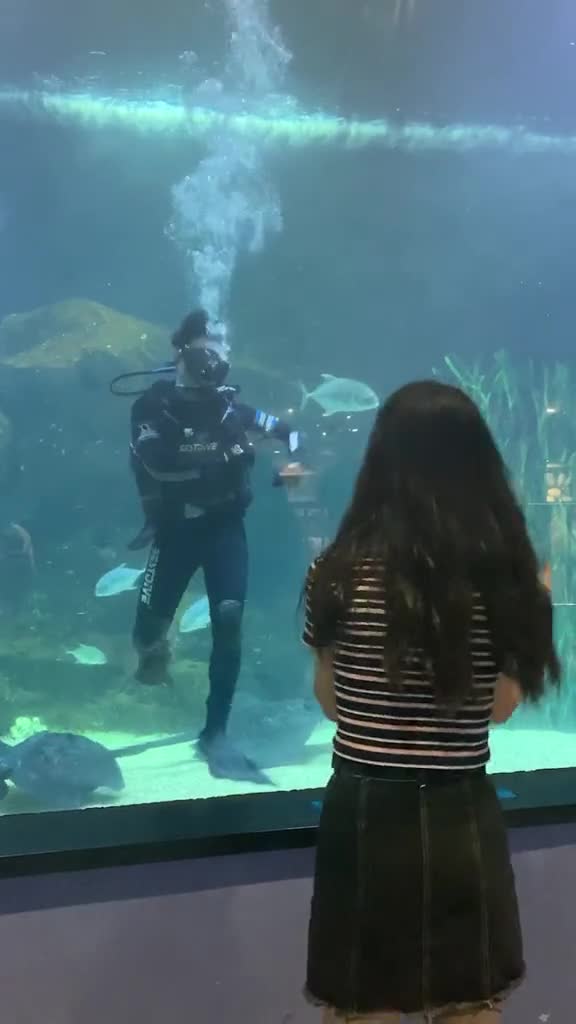 一万个没想到潜水小哥哥也太多才多艺了吧