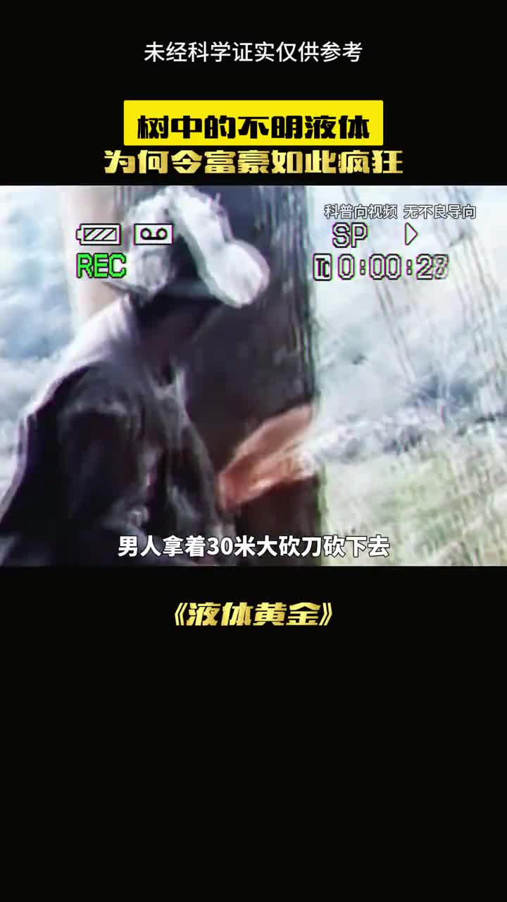 白桦树究竟有何宝贵