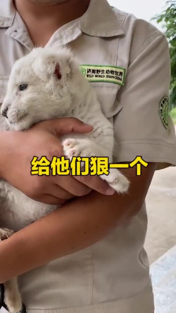 不能被人家看扁了来狠一个