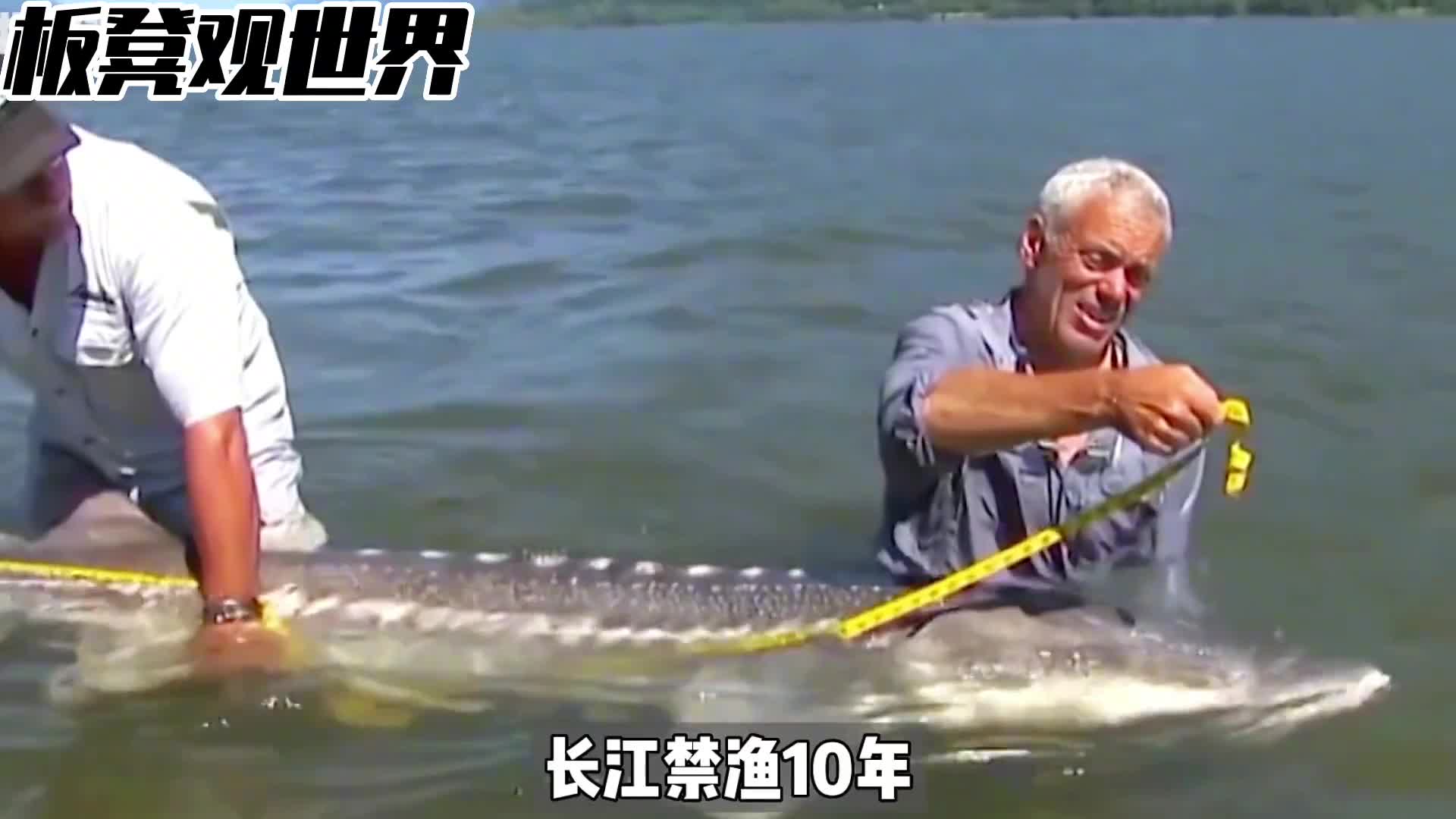 极速科普长江禁渔十年效果怎么样脚臭到底怎么回事