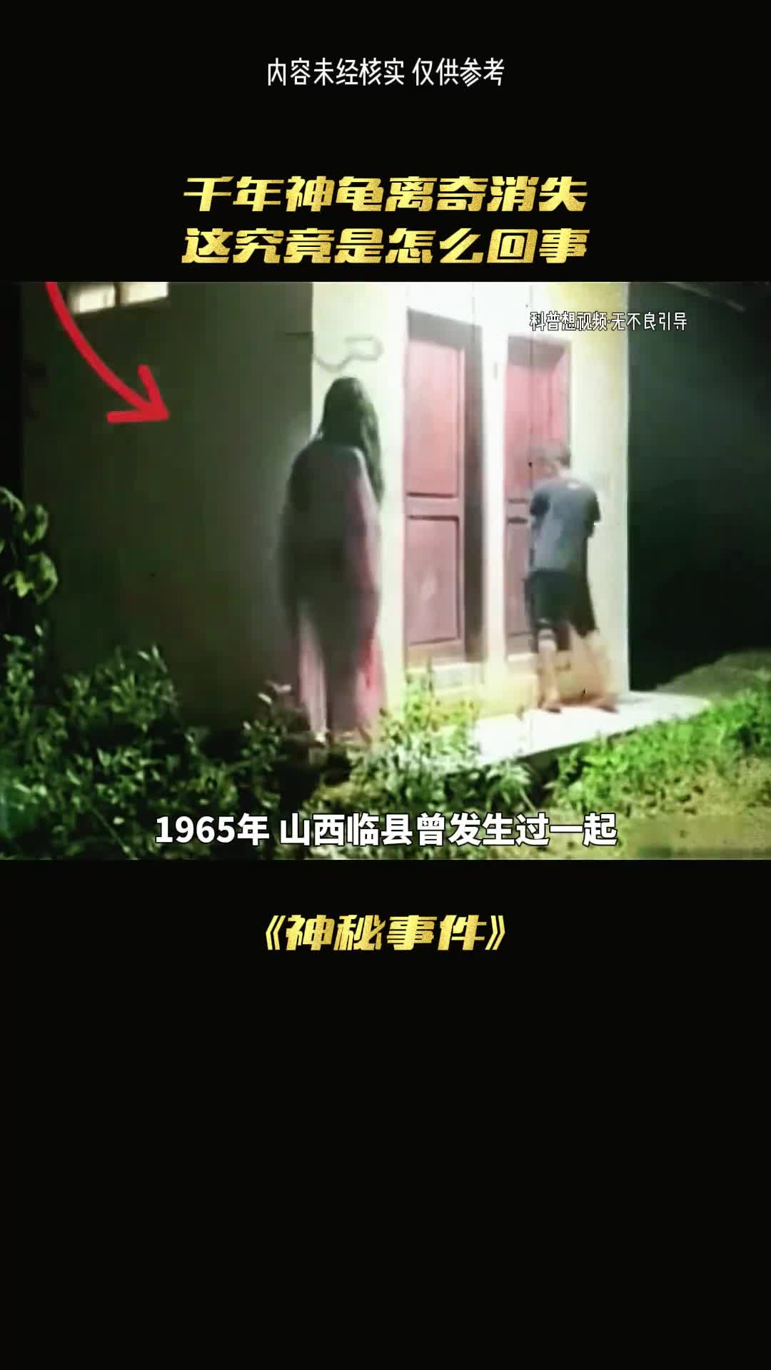 河中挖出千年灵龟到底发生了什么