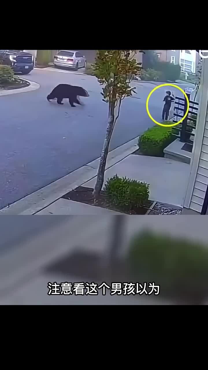 男孩看到熊的反应震惊了