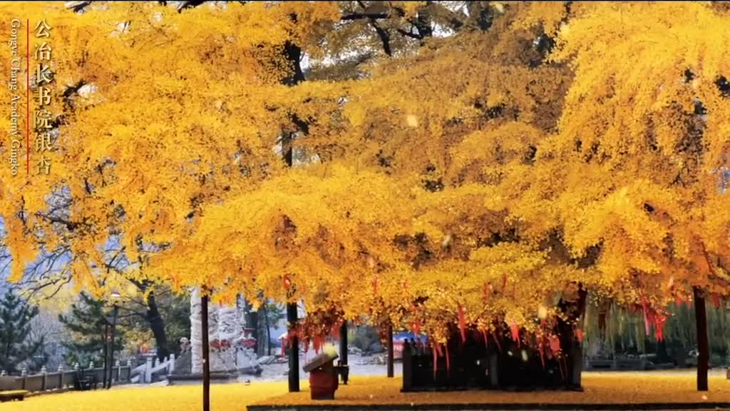 天上风筝飞天下潍坊美古韵犹存翰墨飘香这里是世界风筝之都潍坊