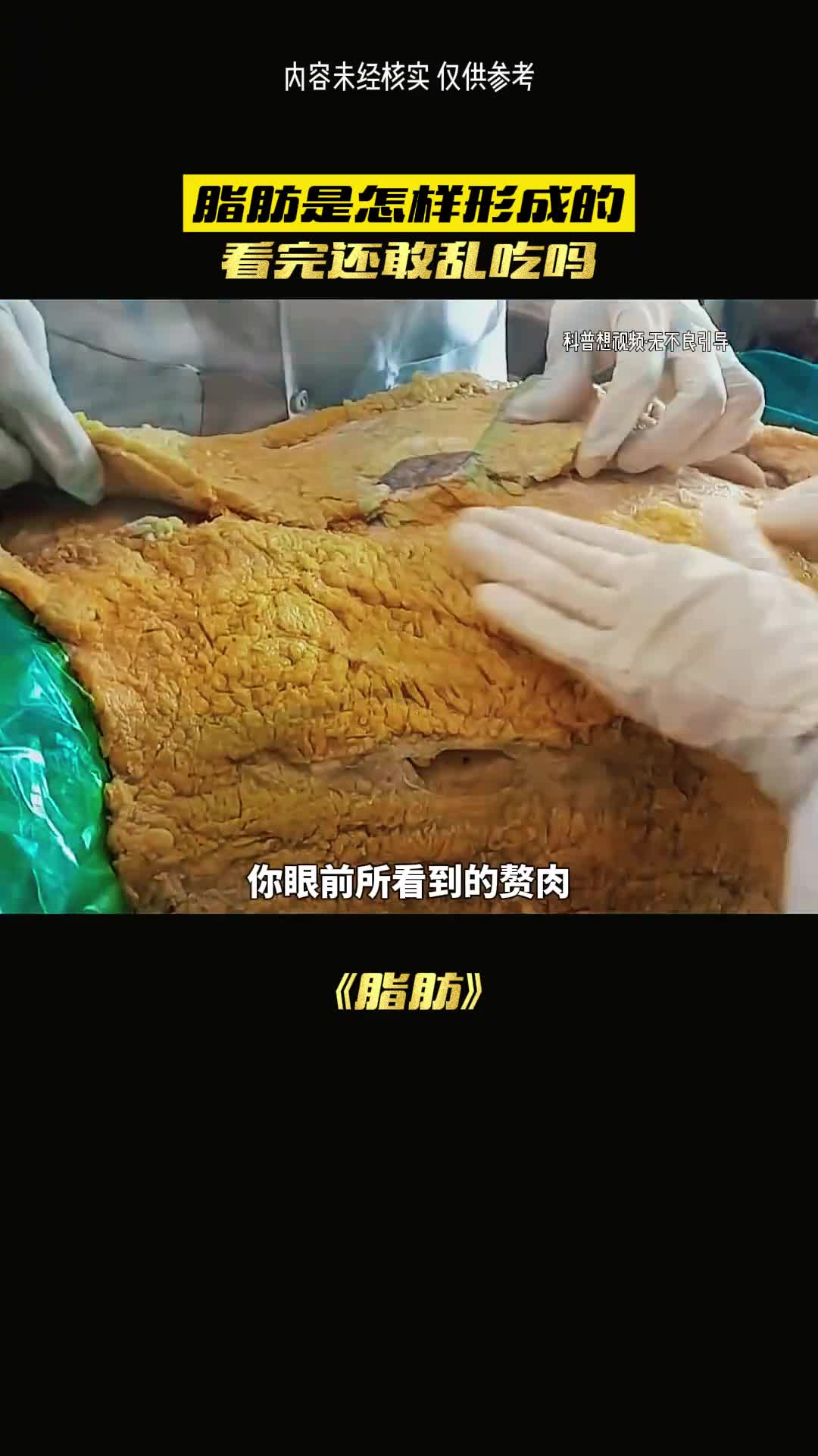 赘肉的来历你肯定不知道