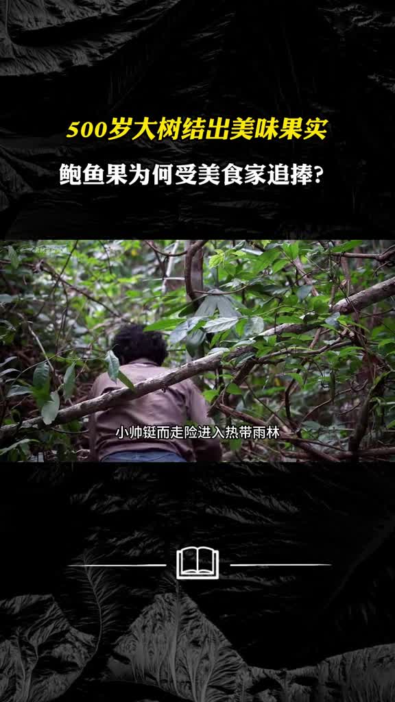 鲍鱼果成熟时期为何这么长究竟是怎么做出来的