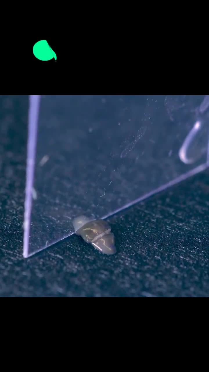 可以无限自我复制的生物人类要是拥有这个技能会怎样