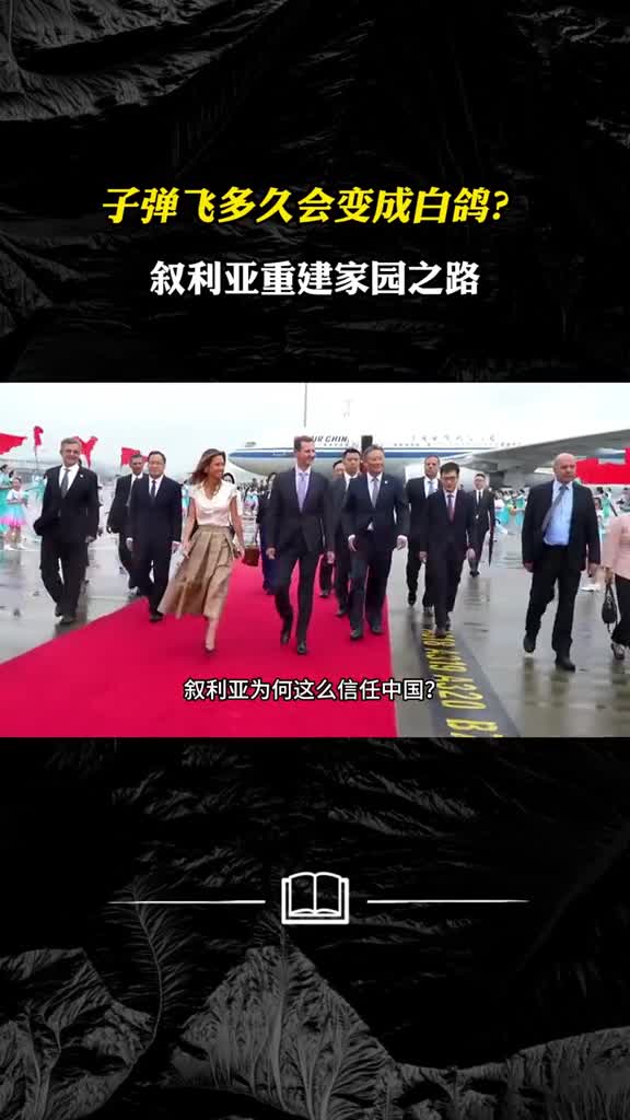 子弹飞多久会变成白鸽叙利亚重建家园之路还有多远