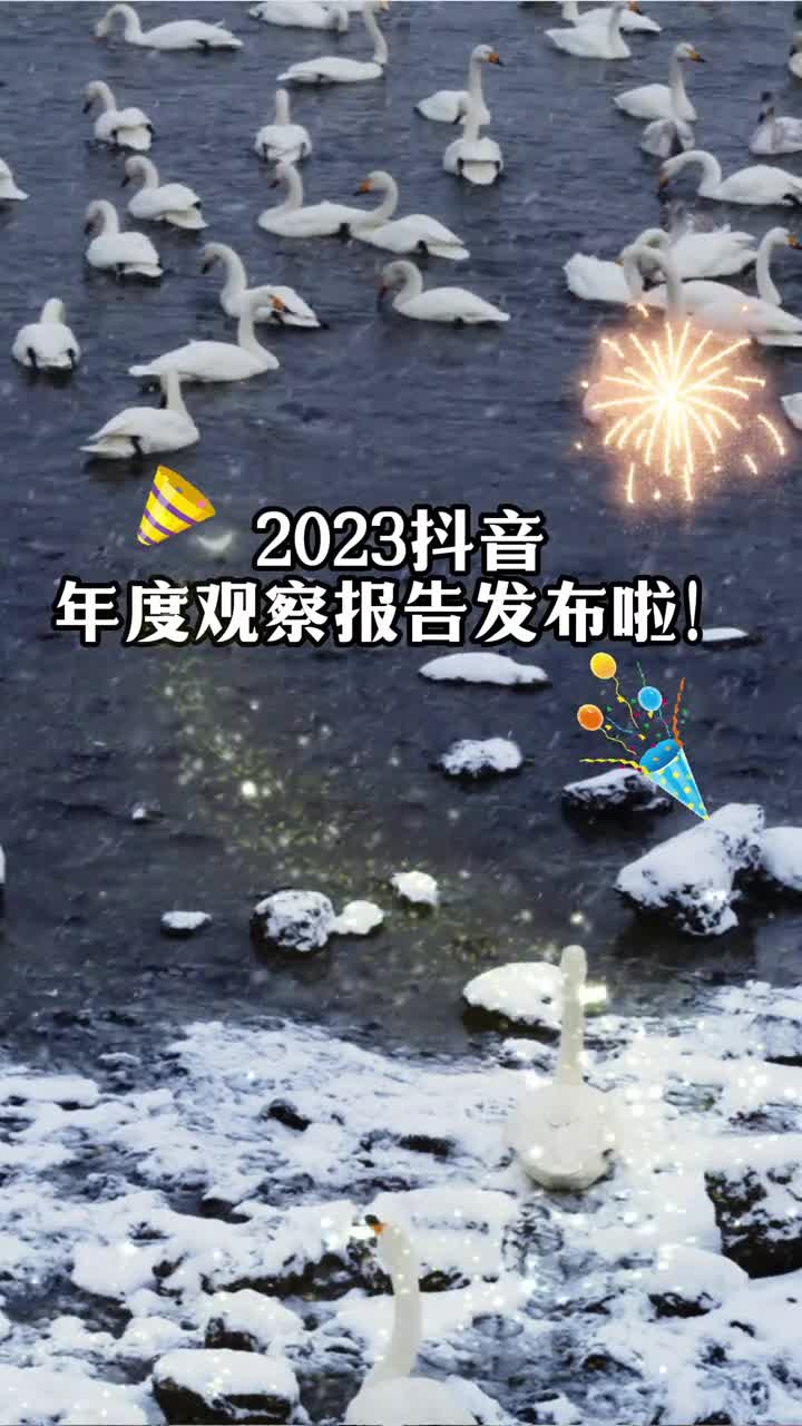 2023抖音年度观察报告发布啦和鲁鲁一起来看哪些热点上榜了吧欢迎宝子们来山东玩呀
