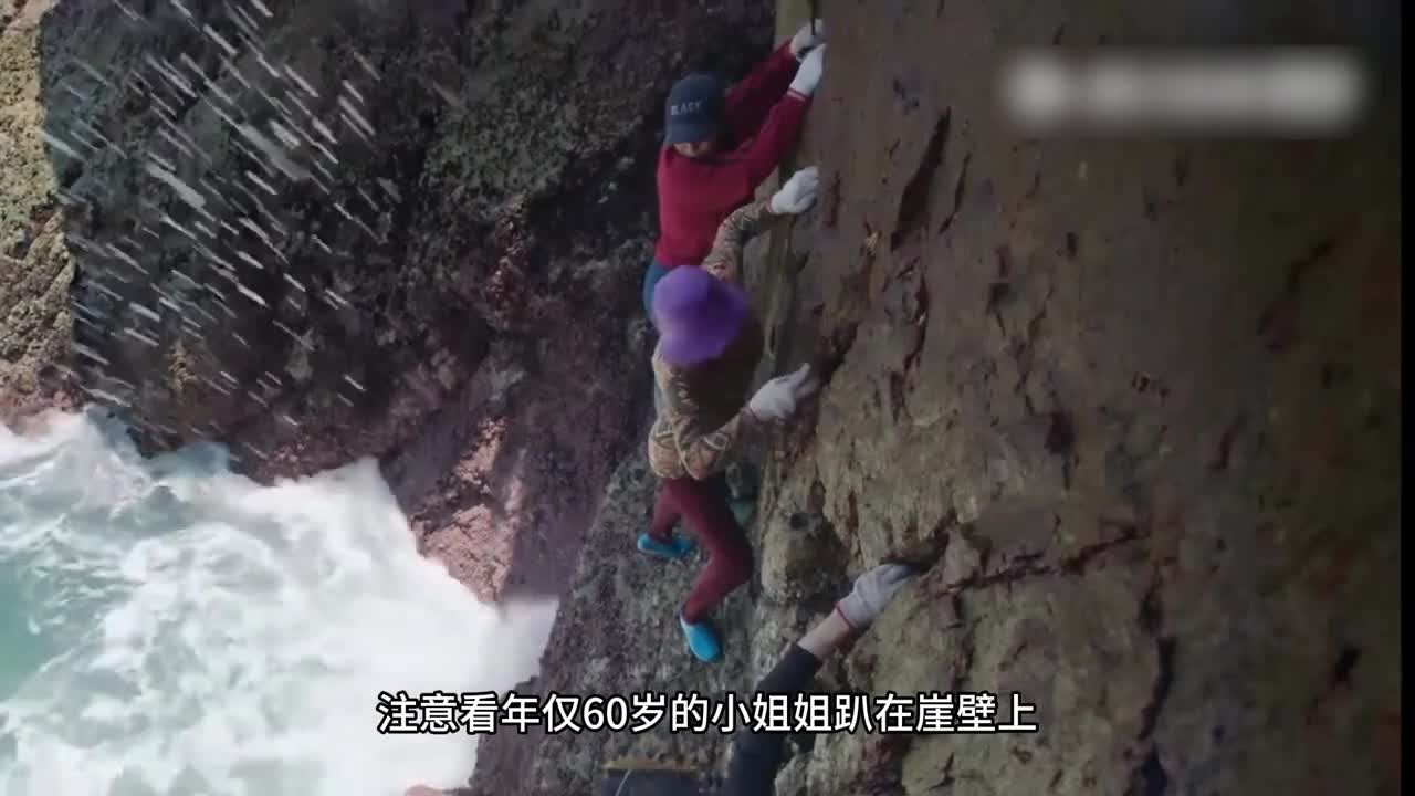 中秋团圆宴上不能少的美食多种珍贵食材汇成的佛跳墙不仅美味还营养