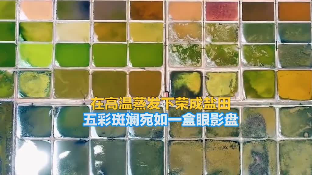 大自然的眼影盘航拍山东荣成多彩盐田高温的不断蒸发使得盐田呈现绚丽多彩的独特风景