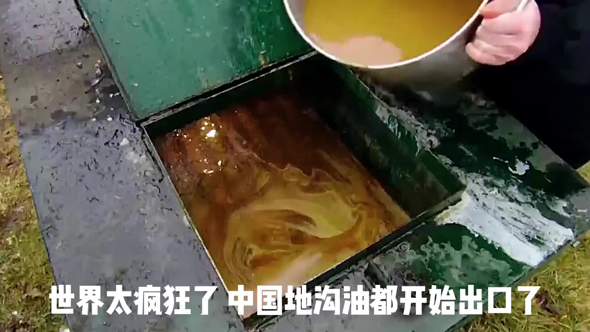 地沟油都能出口了老外用这东西干嘛