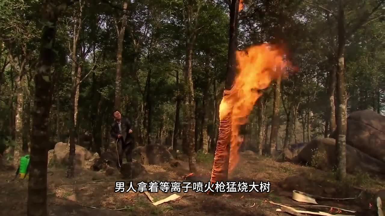 女孩子不一定要多吃燕窝但可以多喝点这个桃胶