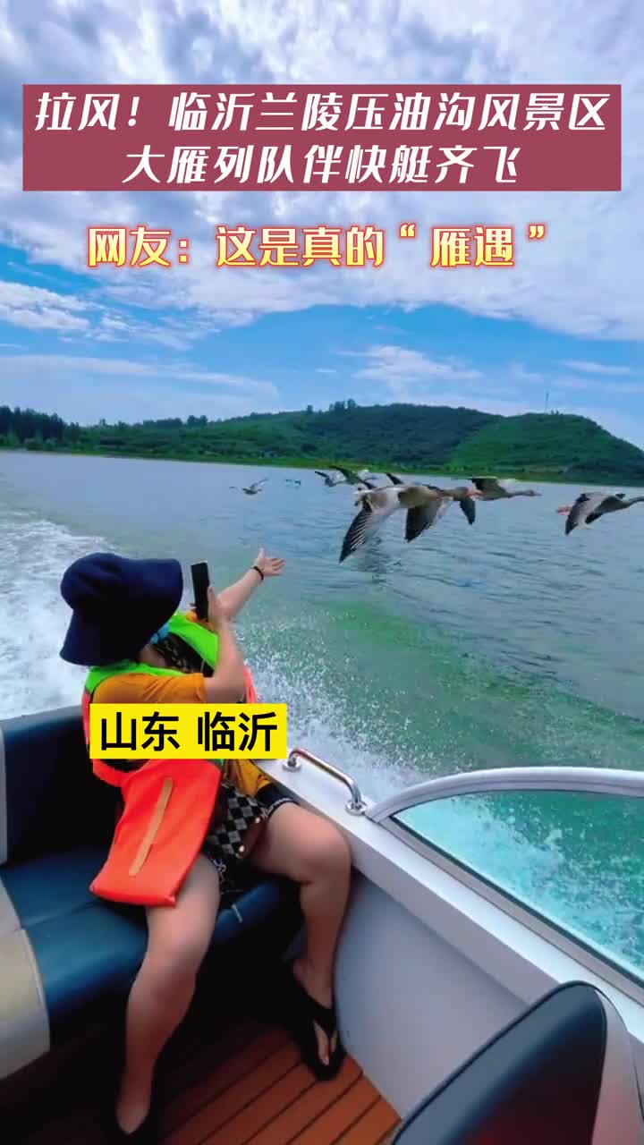 太拉风了临沂兰陵压油沟风景区大雁伴快艇齐飞游客惊叹触手可及的飞行临沂大雁哥