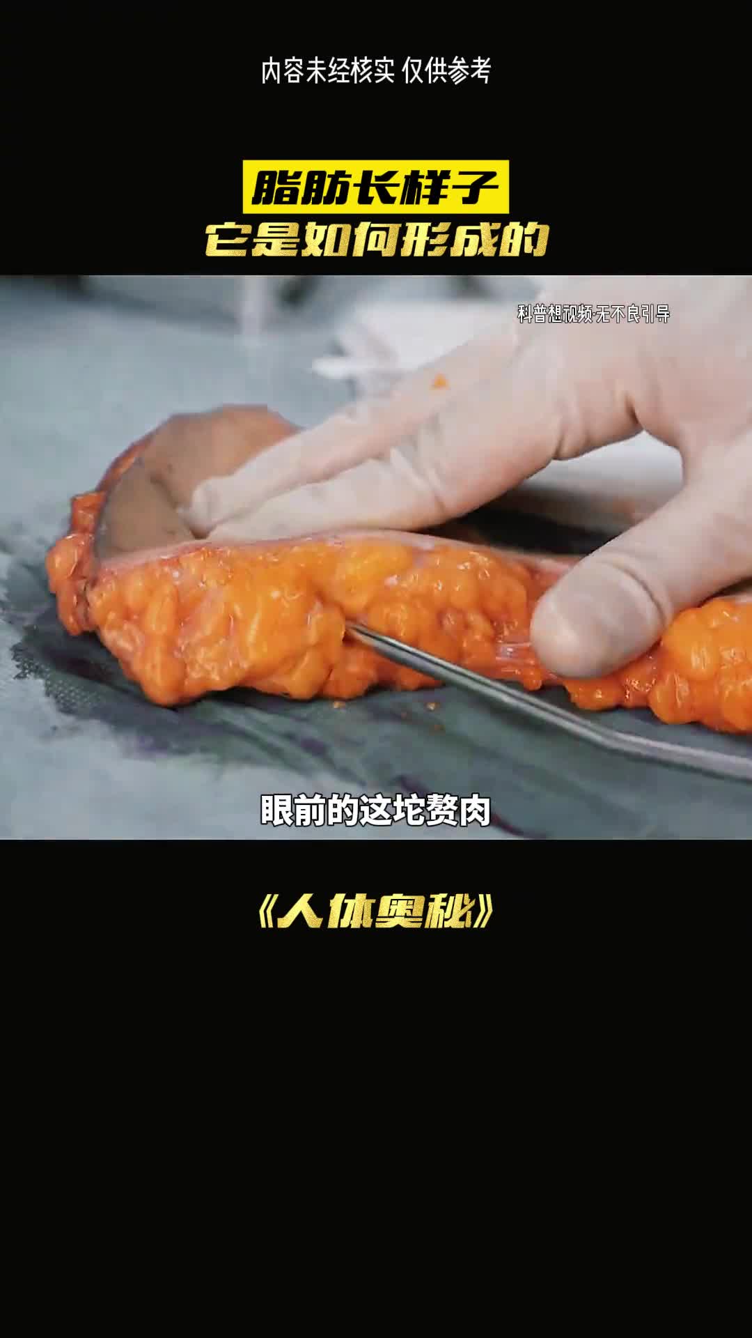 这种东西到底是什么