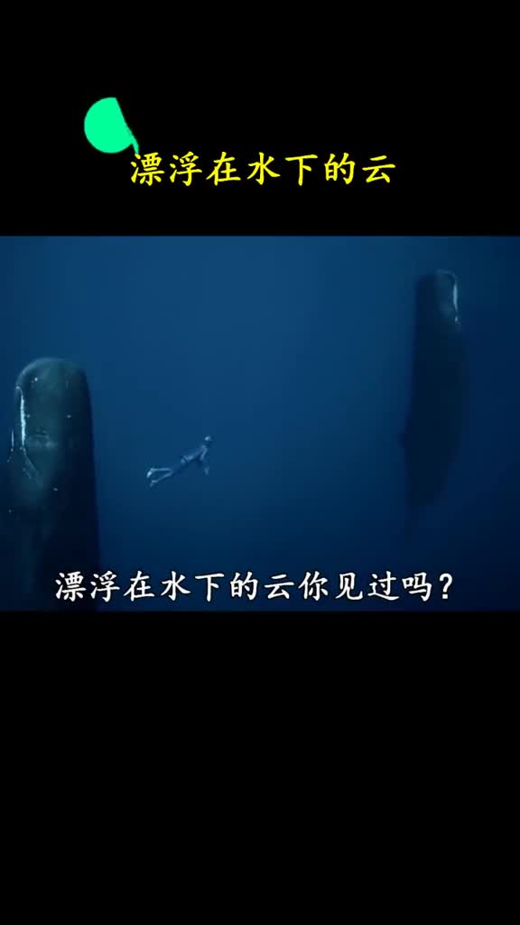 堪比水下仙境世界之大真是太神奇了