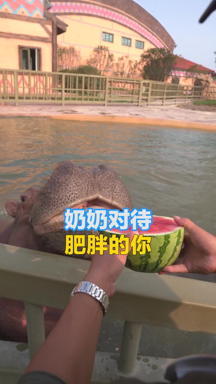 奶奶对待肥胖的你VS爸妈对待肥胖的你