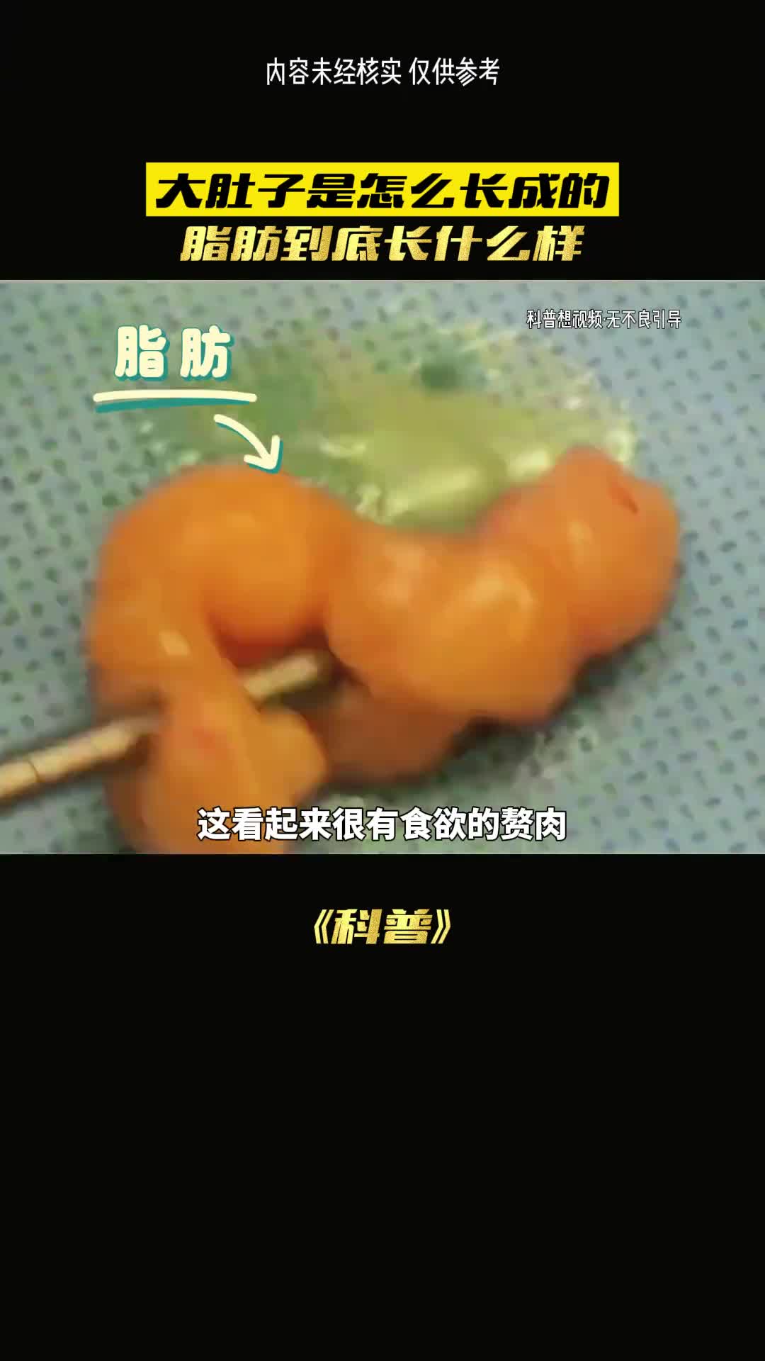 你见过自己的脂肪吗