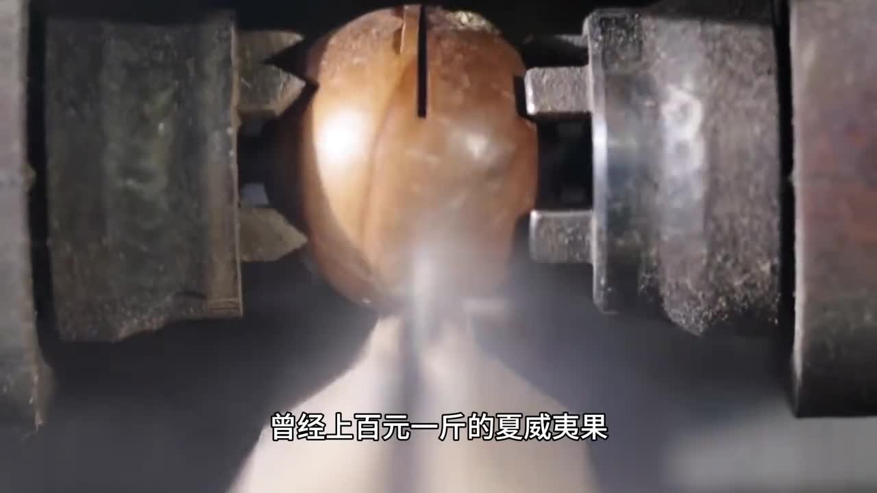 12袋只需这个价