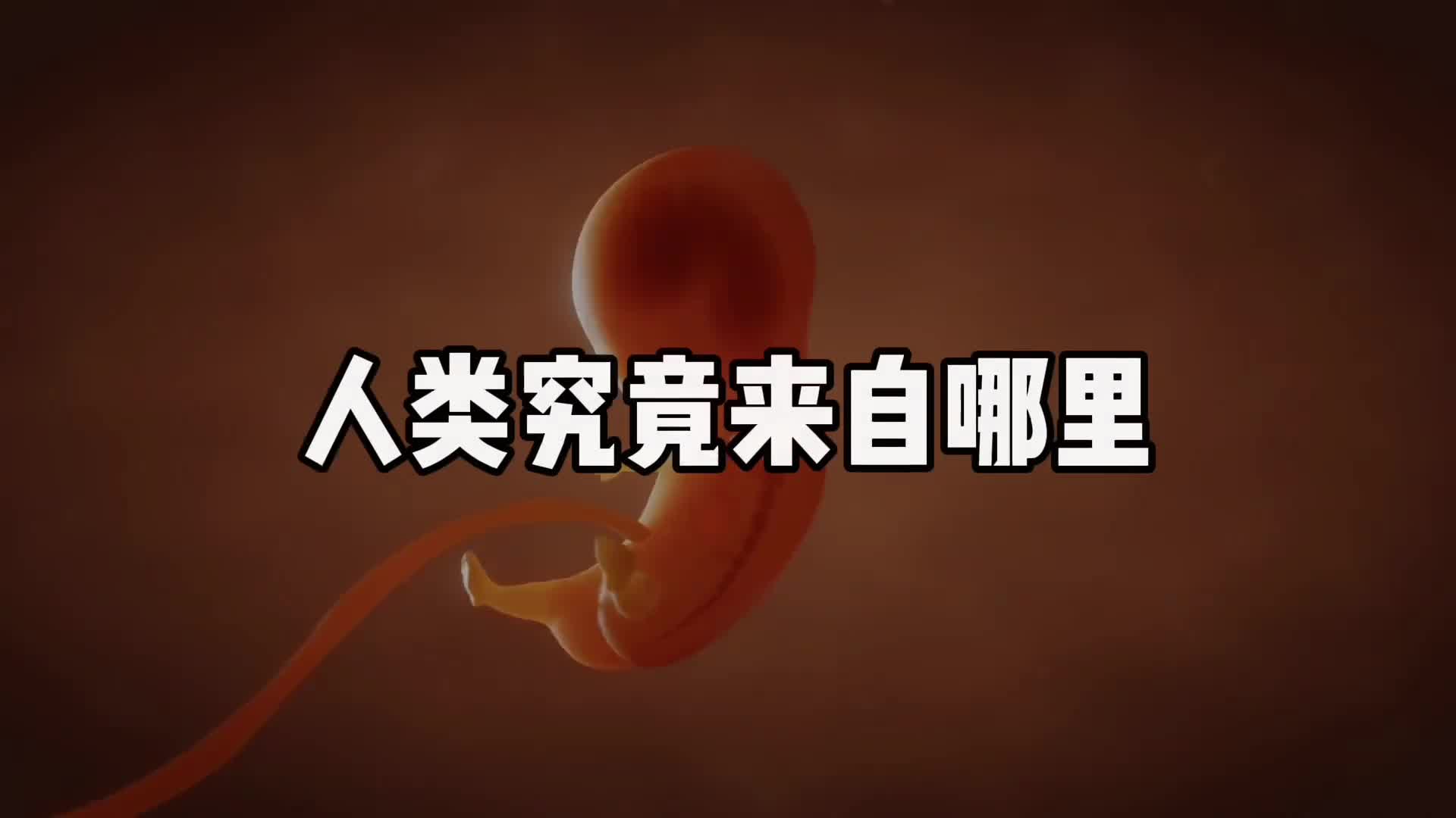 人类究竟来自哪里
