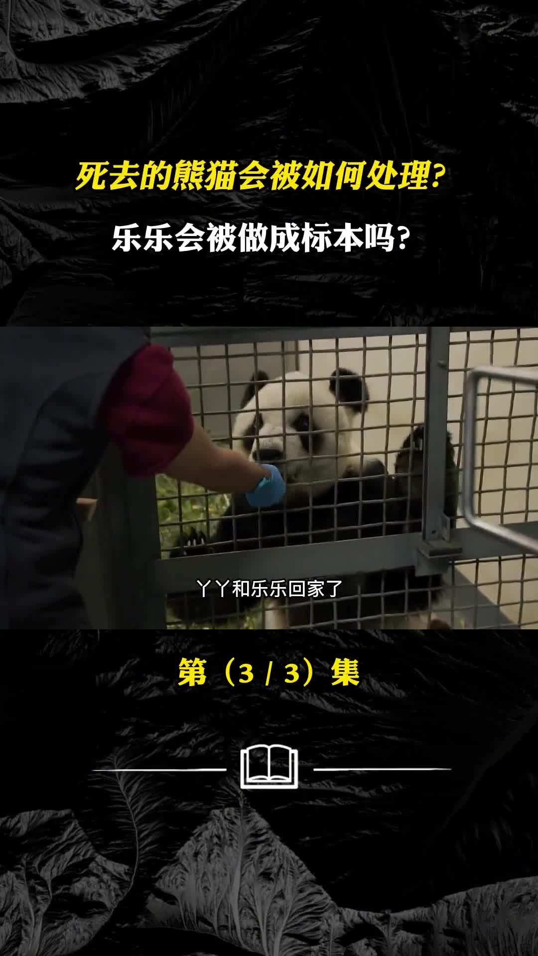 死去的熊猫会被如何处理乐乐会被做成标本吗