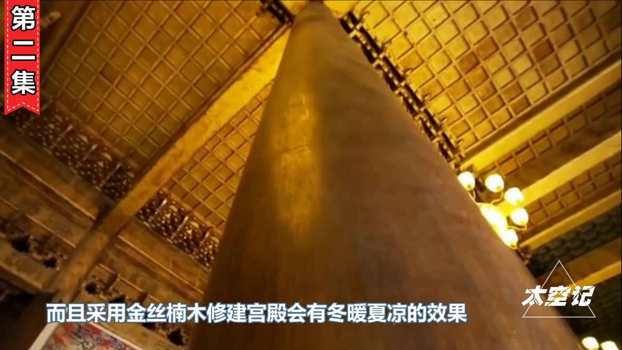 金丝楠木价格昂贵一棵能换一套房为何很少有人愿意种