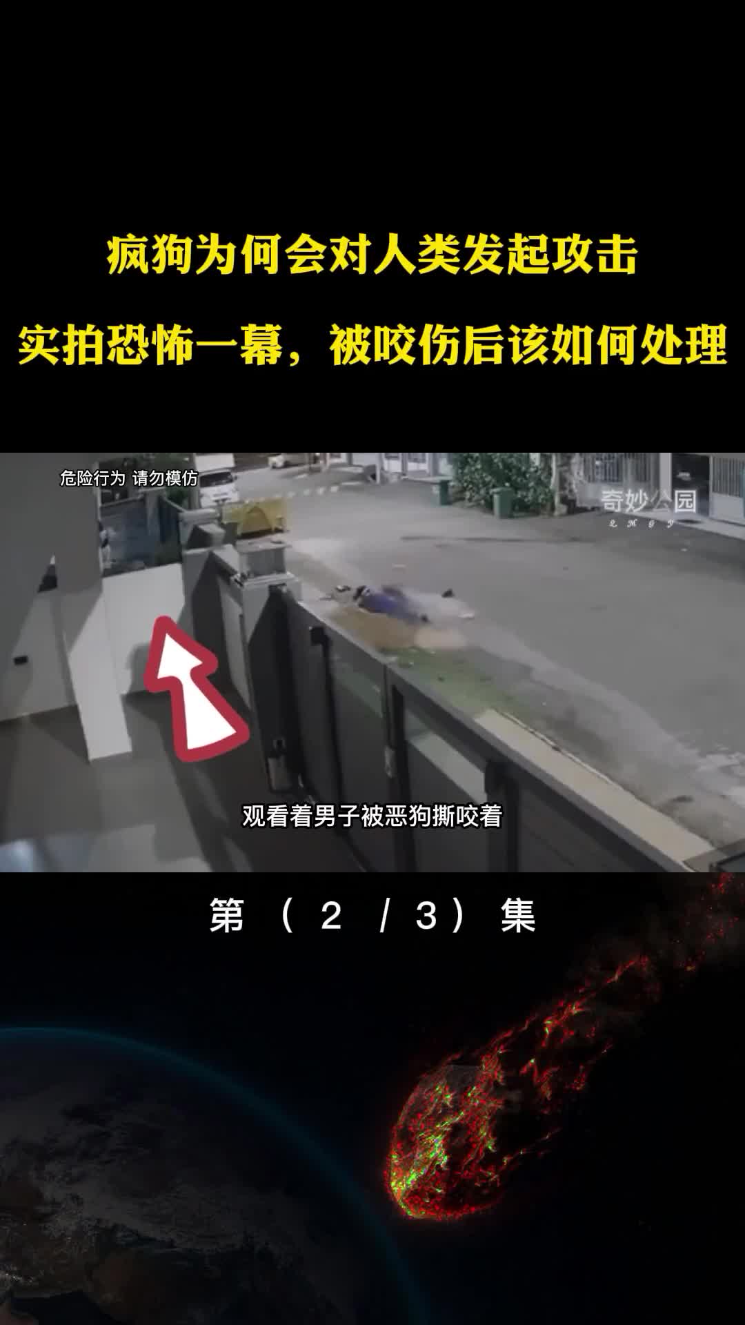 疯狗为何会乱咬人实拍恐怖一幕被咬伤后该如何处理