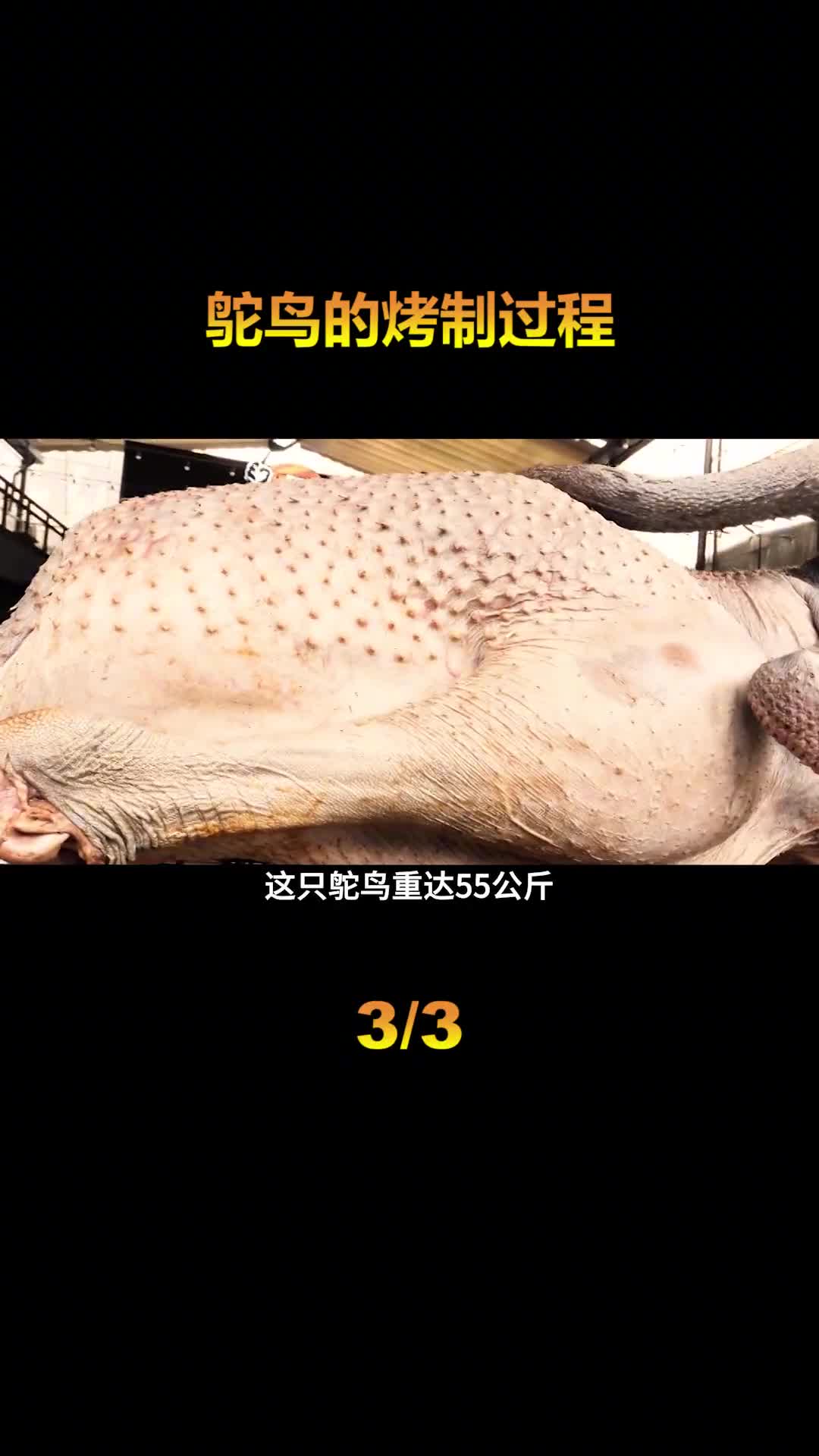 这样的烤鸵鸟你吃过吗