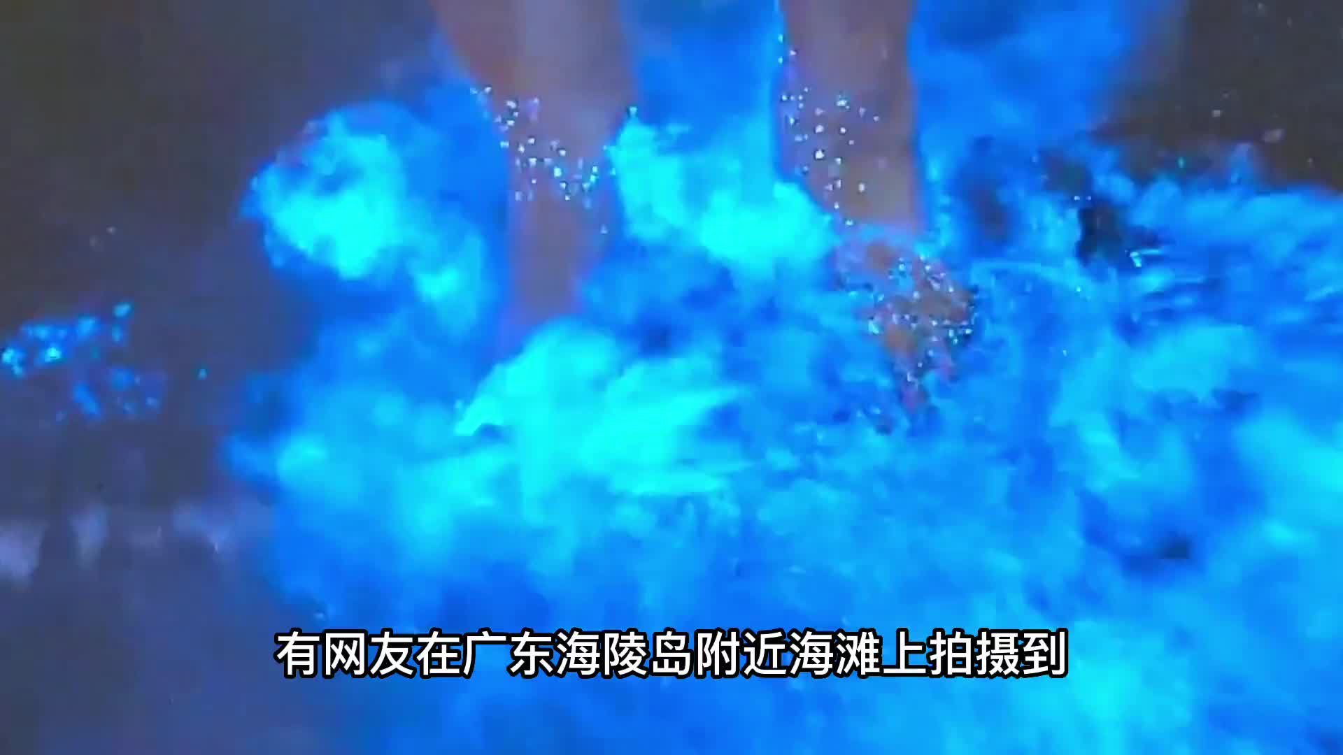 广东海滩频现蓝眼泪究竟有何预兆荧光海是怎么形成的广东海滩频现蓝眼泪究竟有何预兆荧光海是怎么形成的