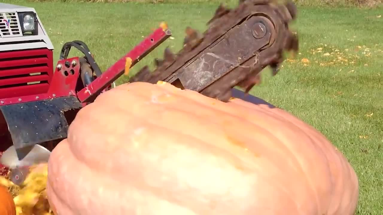 南瓜籽是如何制作的