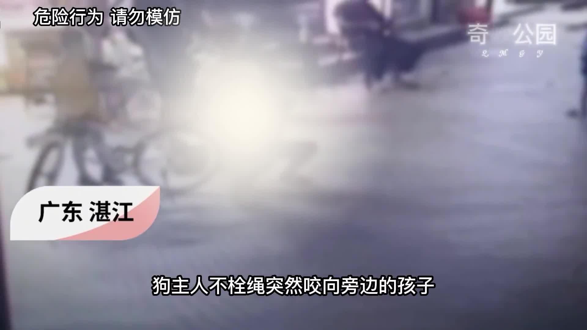 监控下不栓绳狗咬人疯狗咬人有多恐怖不栓绳该怎么处理第2集