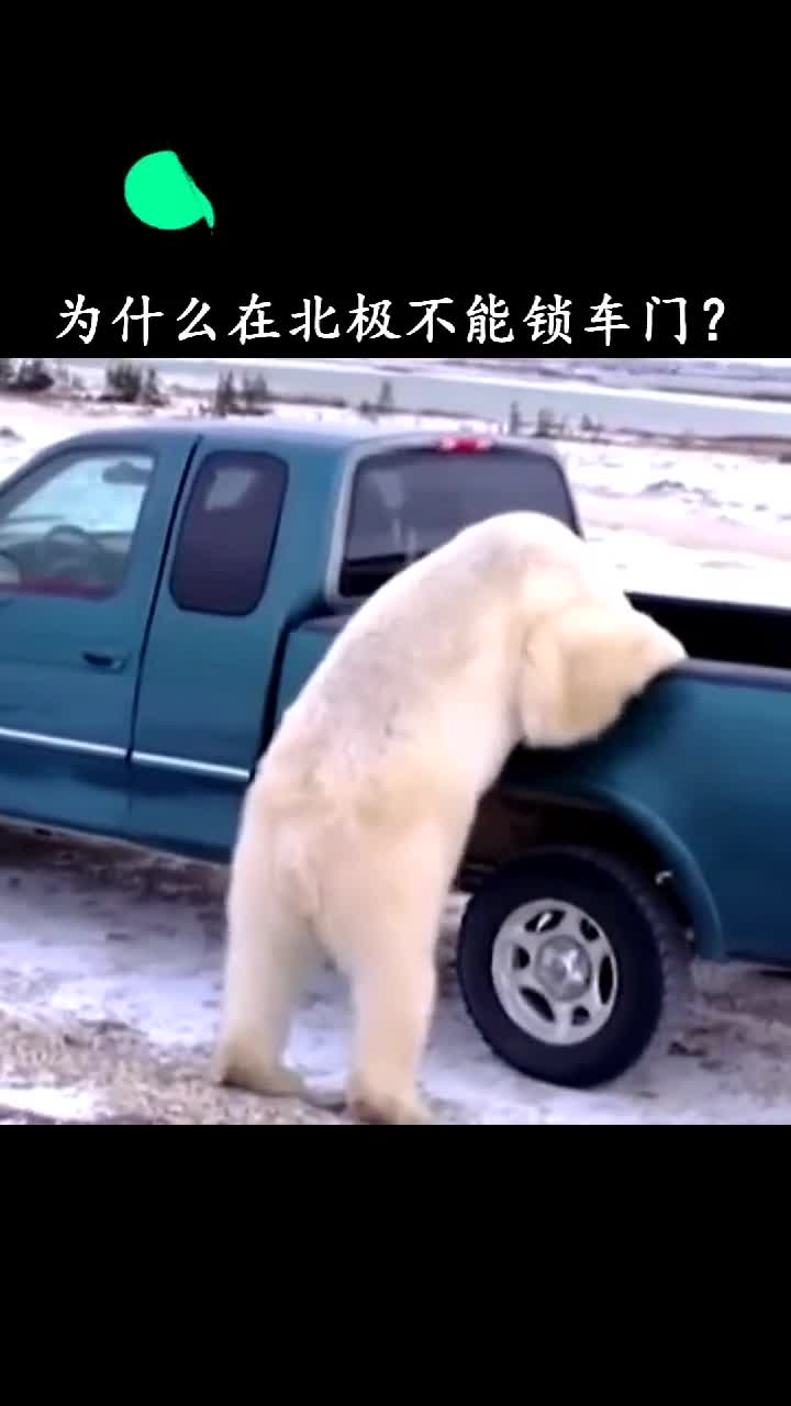为什么在北极不能锁车门