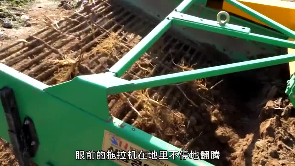 这种西洋参饮料你们喝过吗