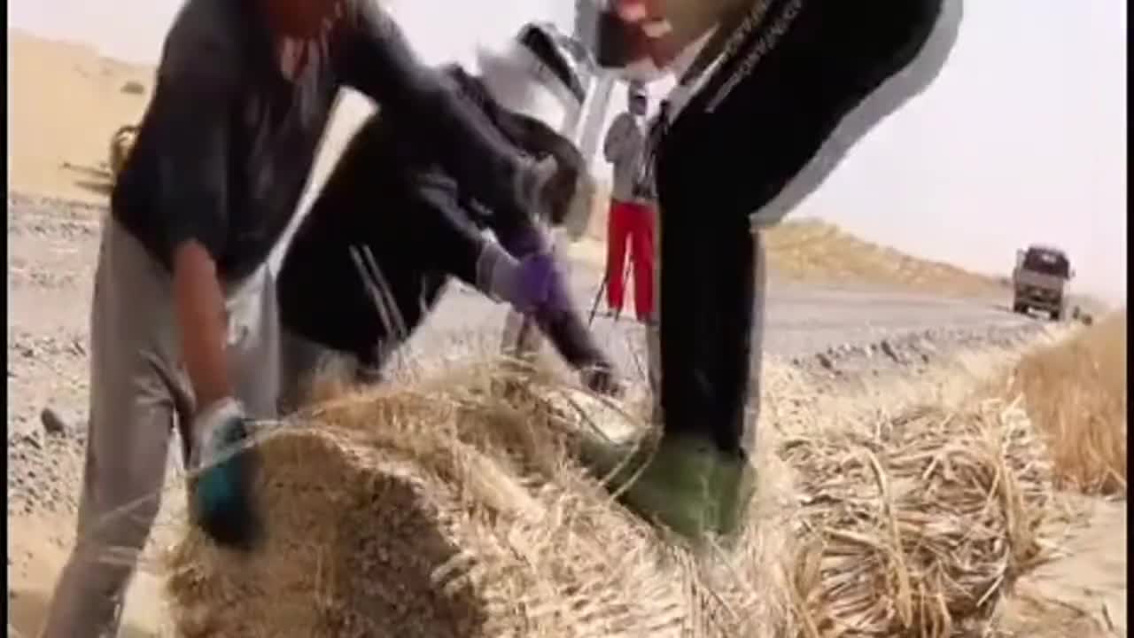 爱吃巴旦木的看过来又香又酥又脆的巴旦木核桃黑芝麻酥真的太好吃了