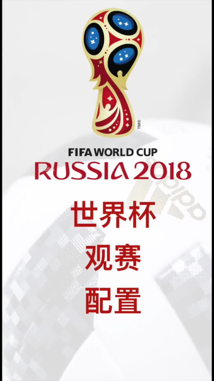 你的世界杯属于哪一种标配高配顶配