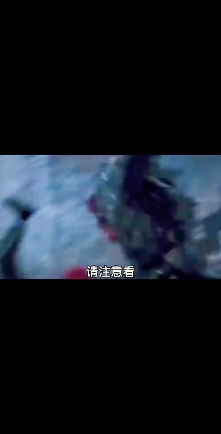 近战之王AA12霰弹枪