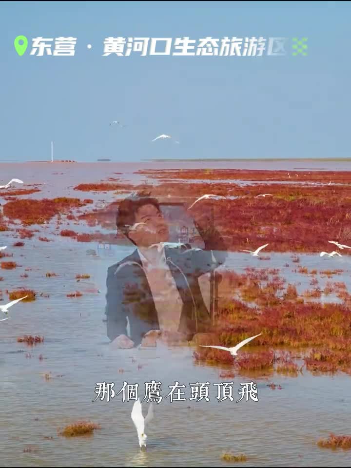 人到了没有天花板的地方人的灵魂也自由和宇辉一起来看山东治愈系风景