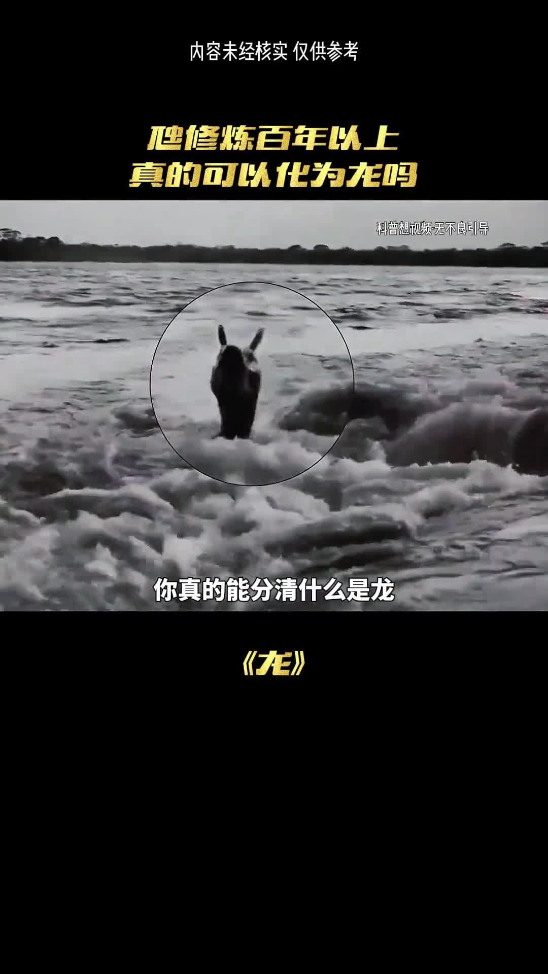 龙的演化居然是这样的