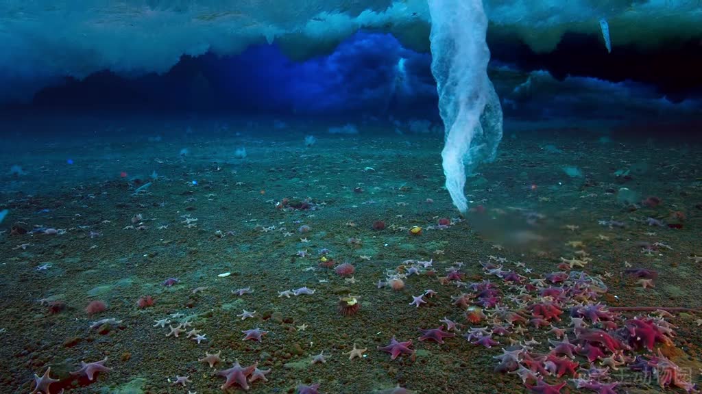 死亡冰柱冰封万物派大星的乱葬岗